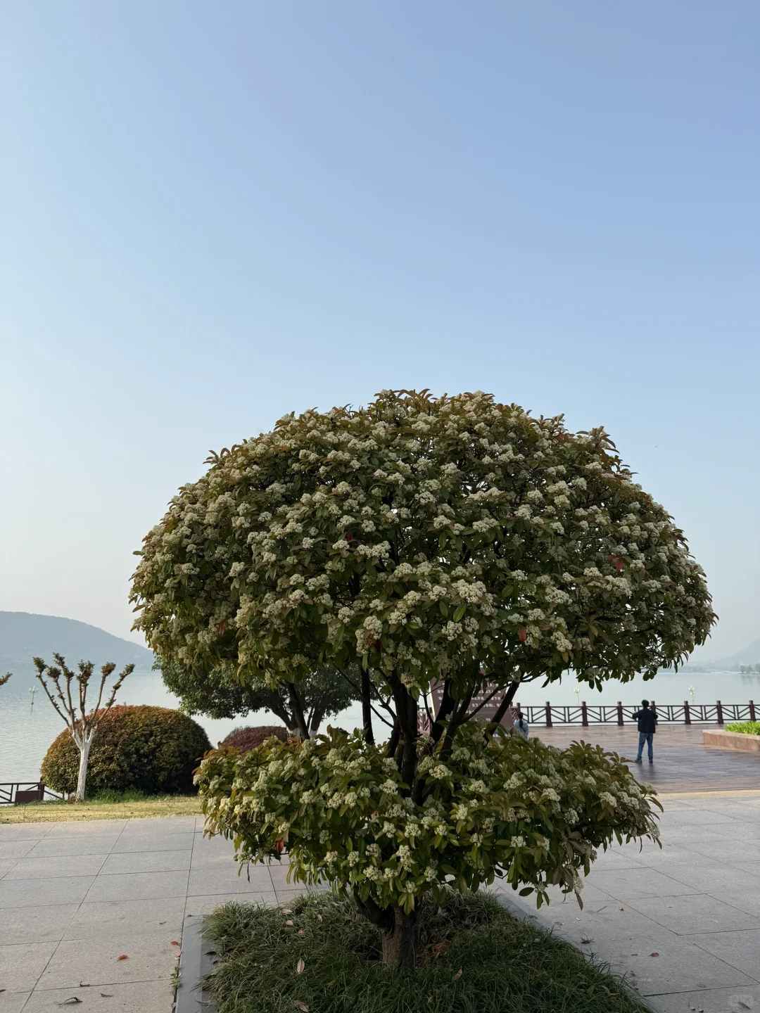徐州～云龙湖