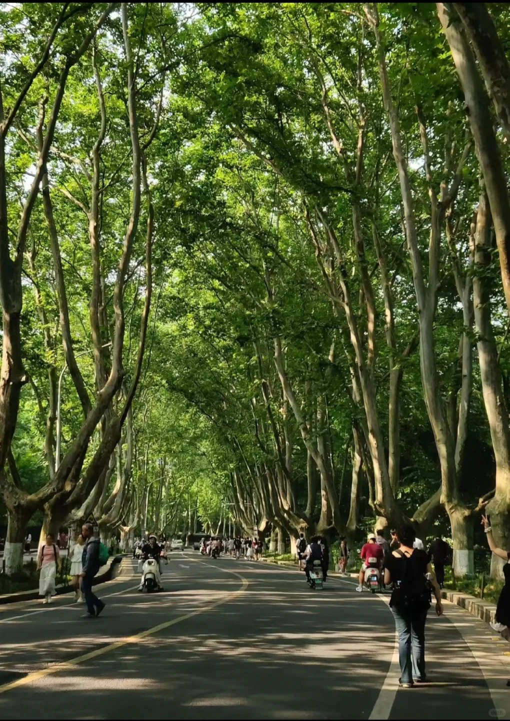 南京旅游文案