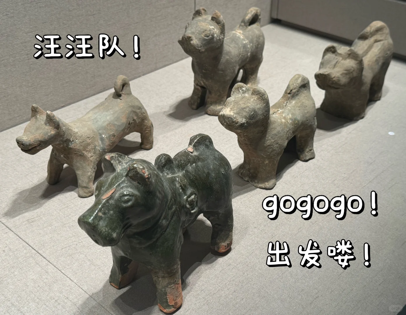 徐州博物馆！