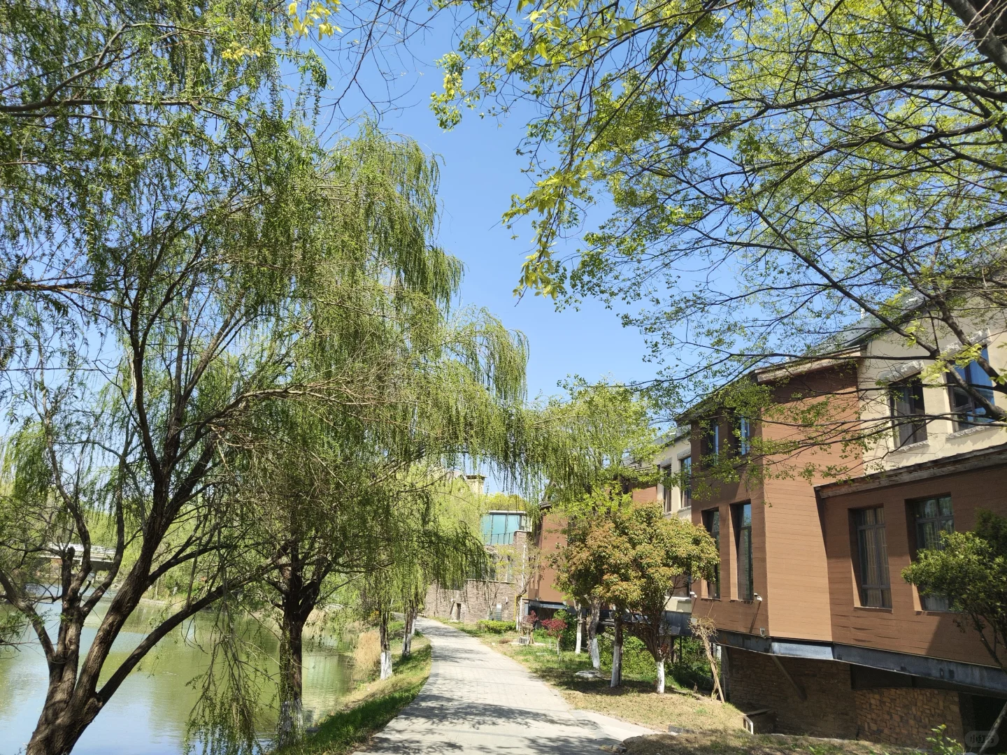 徐州新城区城建真美