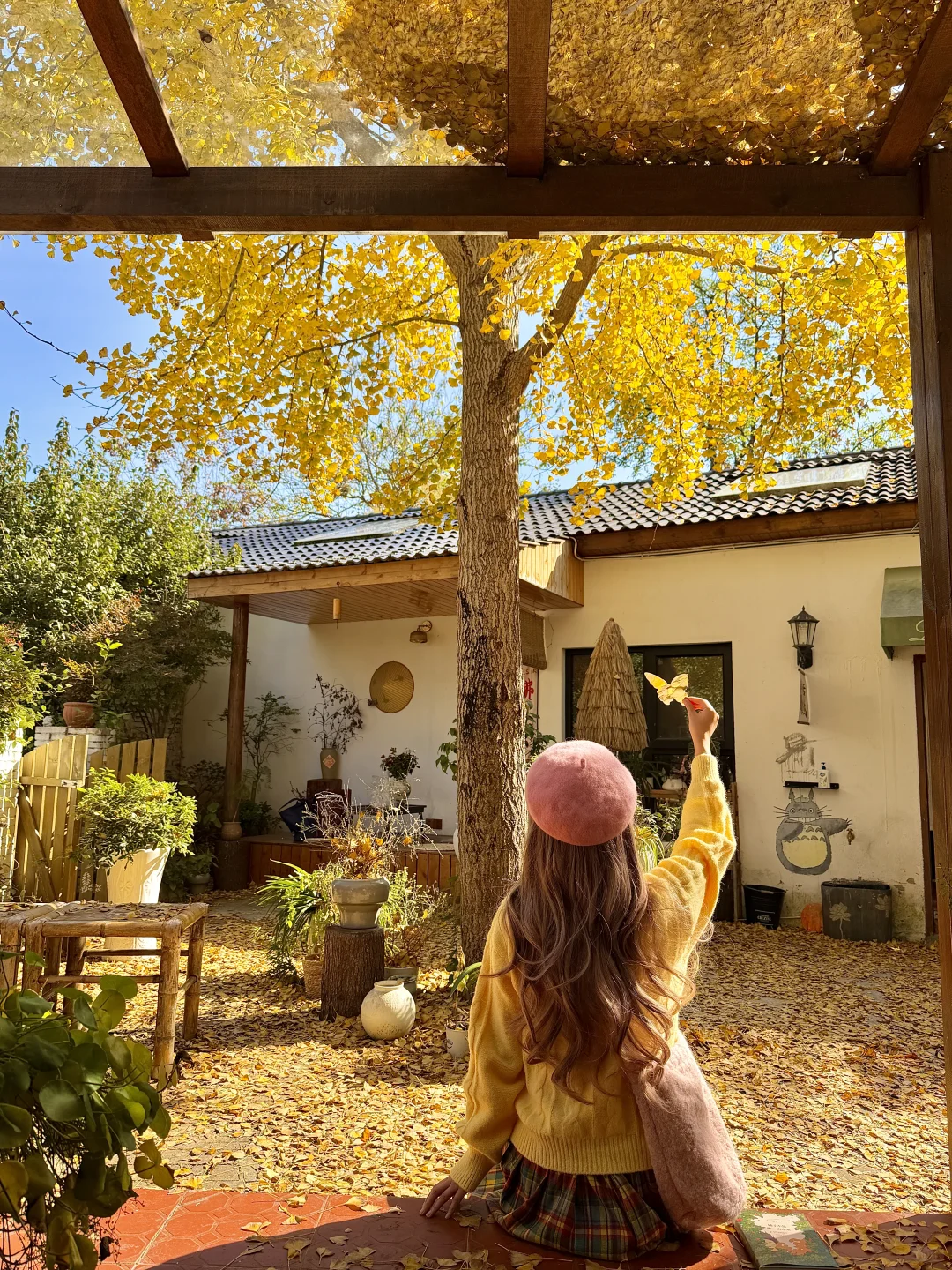 为了这1️⃣8️⃣张图，我特意秋天来了趟南京🍂