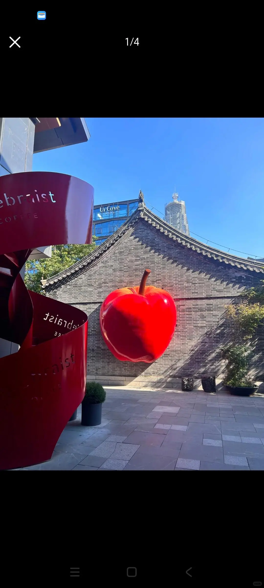 徐州❗️被苹果🍎痛城狠狠“硬控”了~