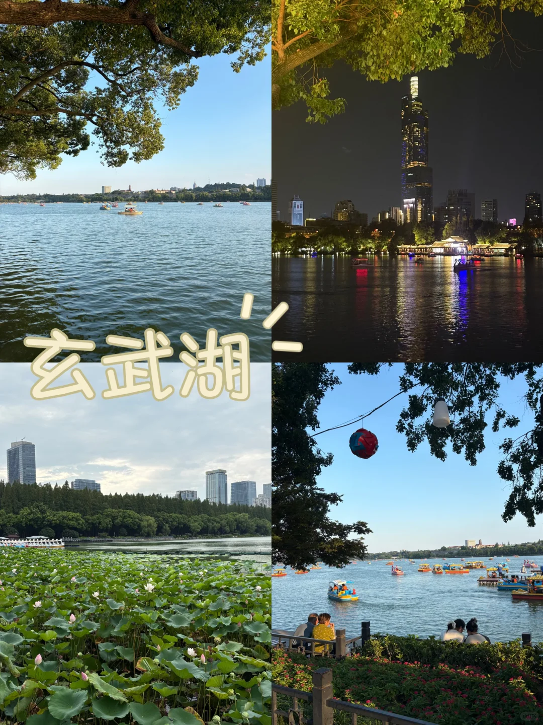 南京地陪