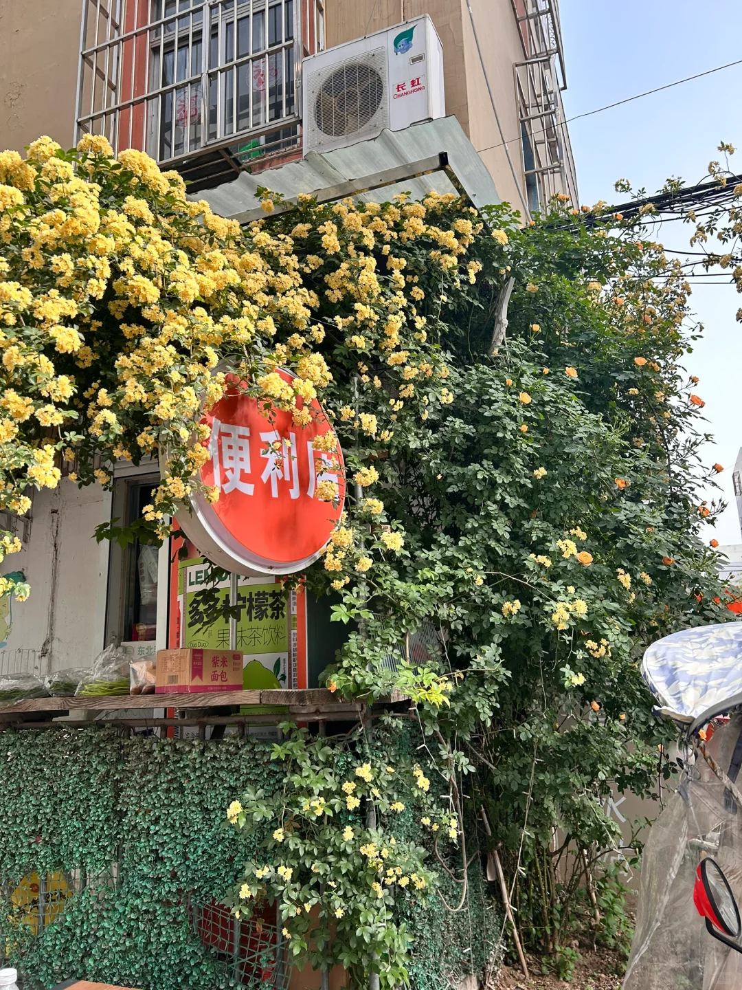 交换在徐州的一张图片吧