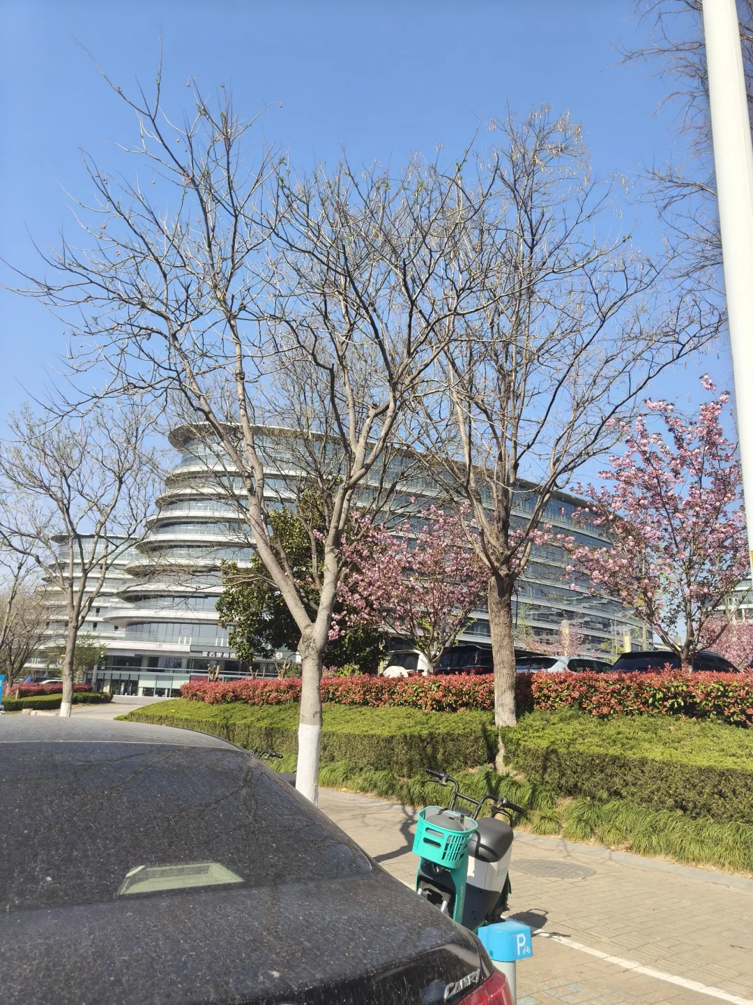 徐州新城区城建真美