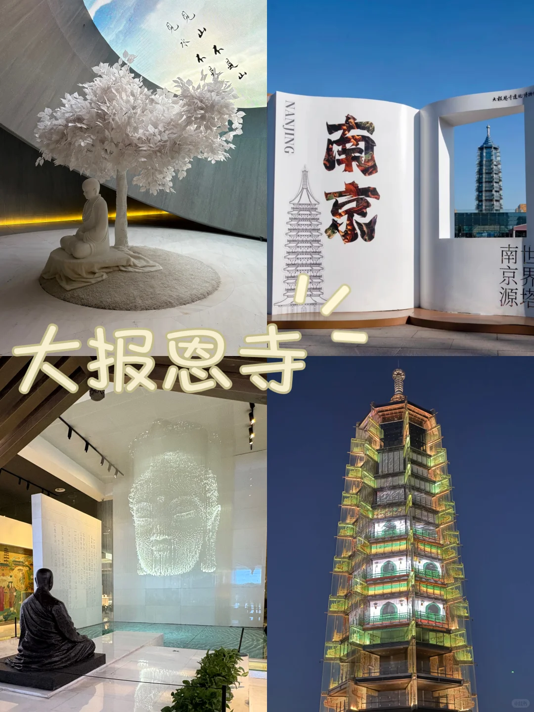 南京地陪