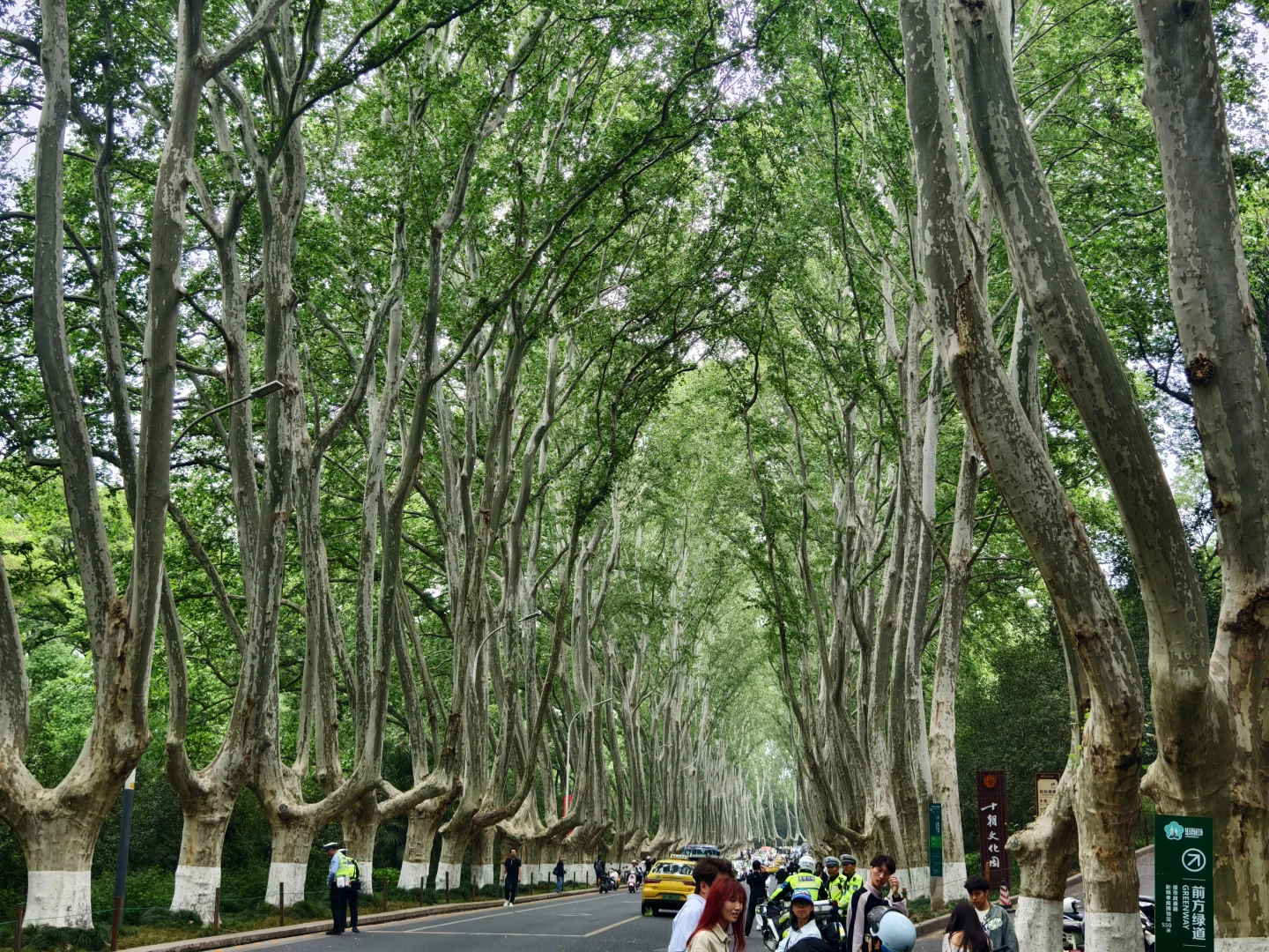 📍Nanjing