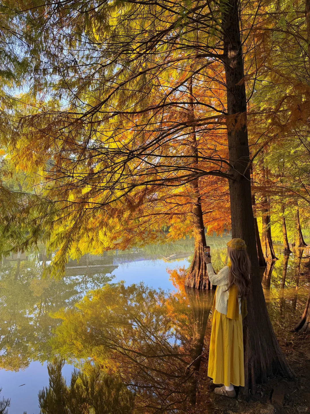 为了这1️⃣8️⃣张图，我特意秋天来了趟南京🍂