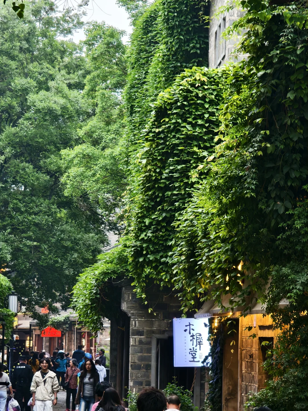 📍Nanjing