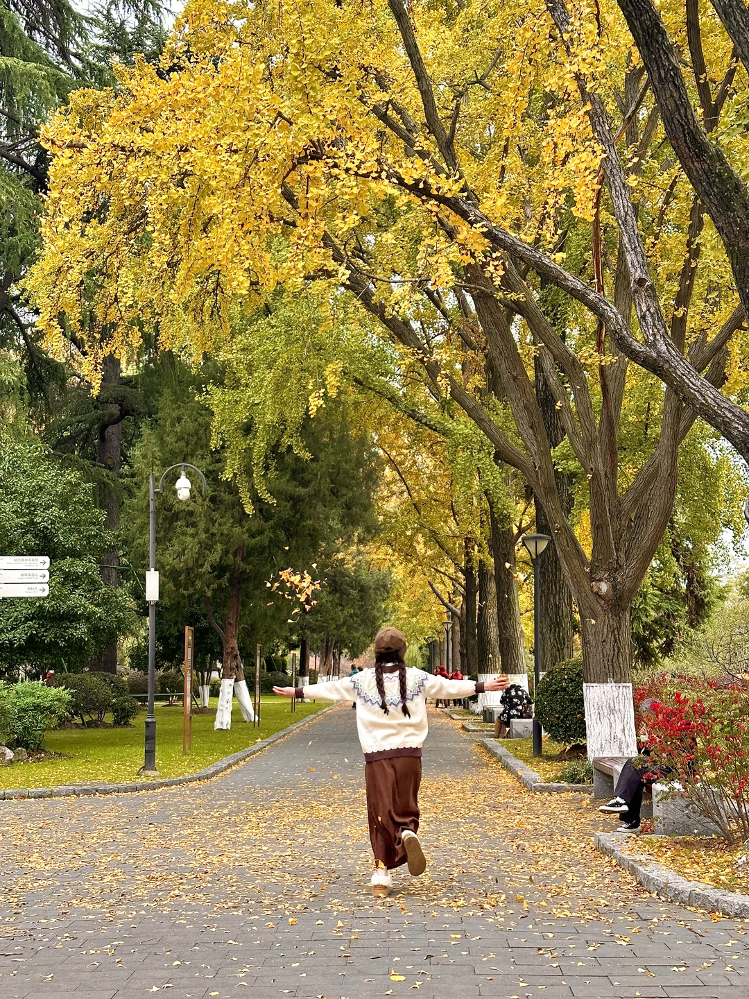 为了这1️⃣8️⃣张图，我特意秋天来了趟南京🍂