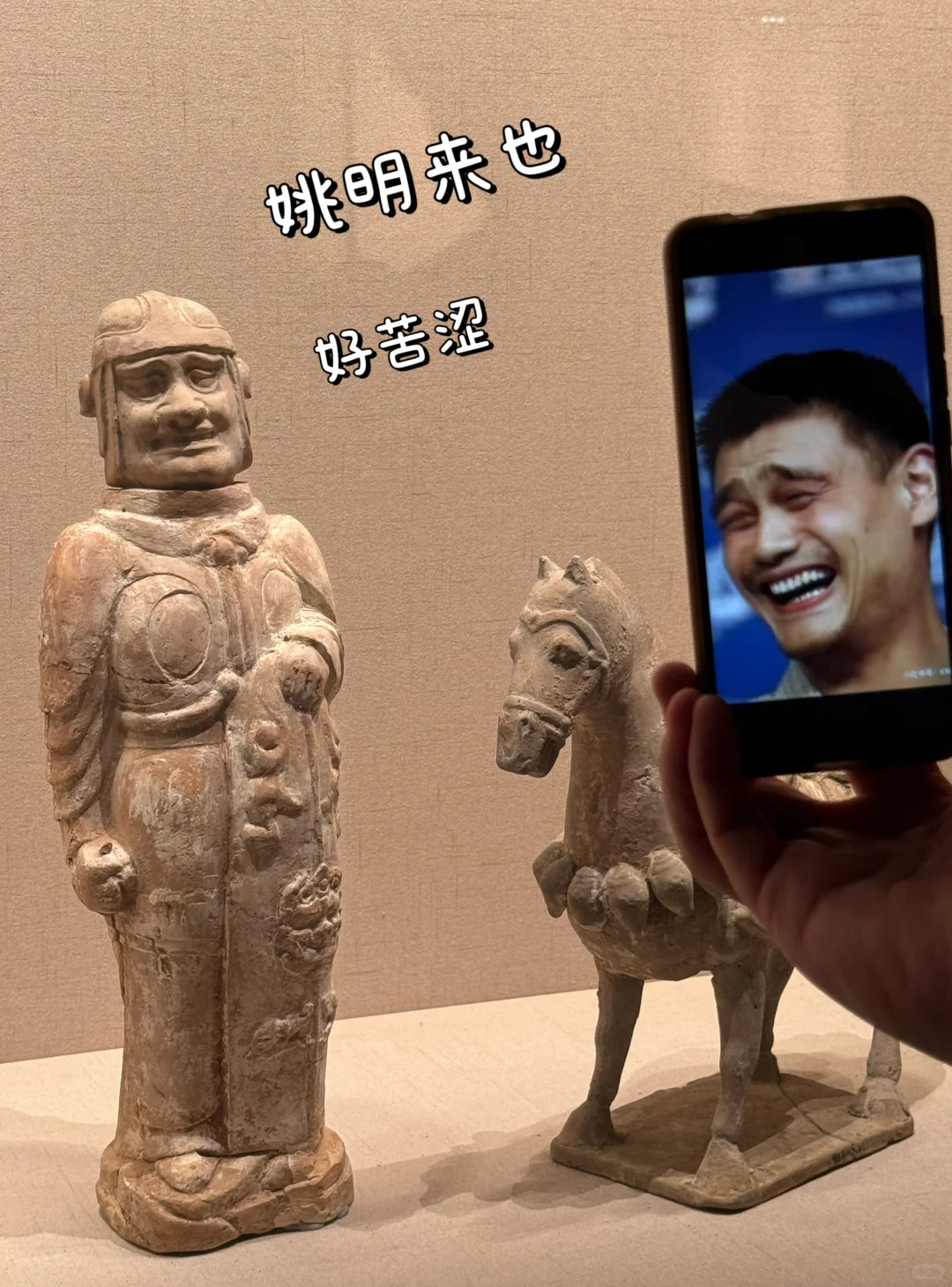 徐州博物馆！