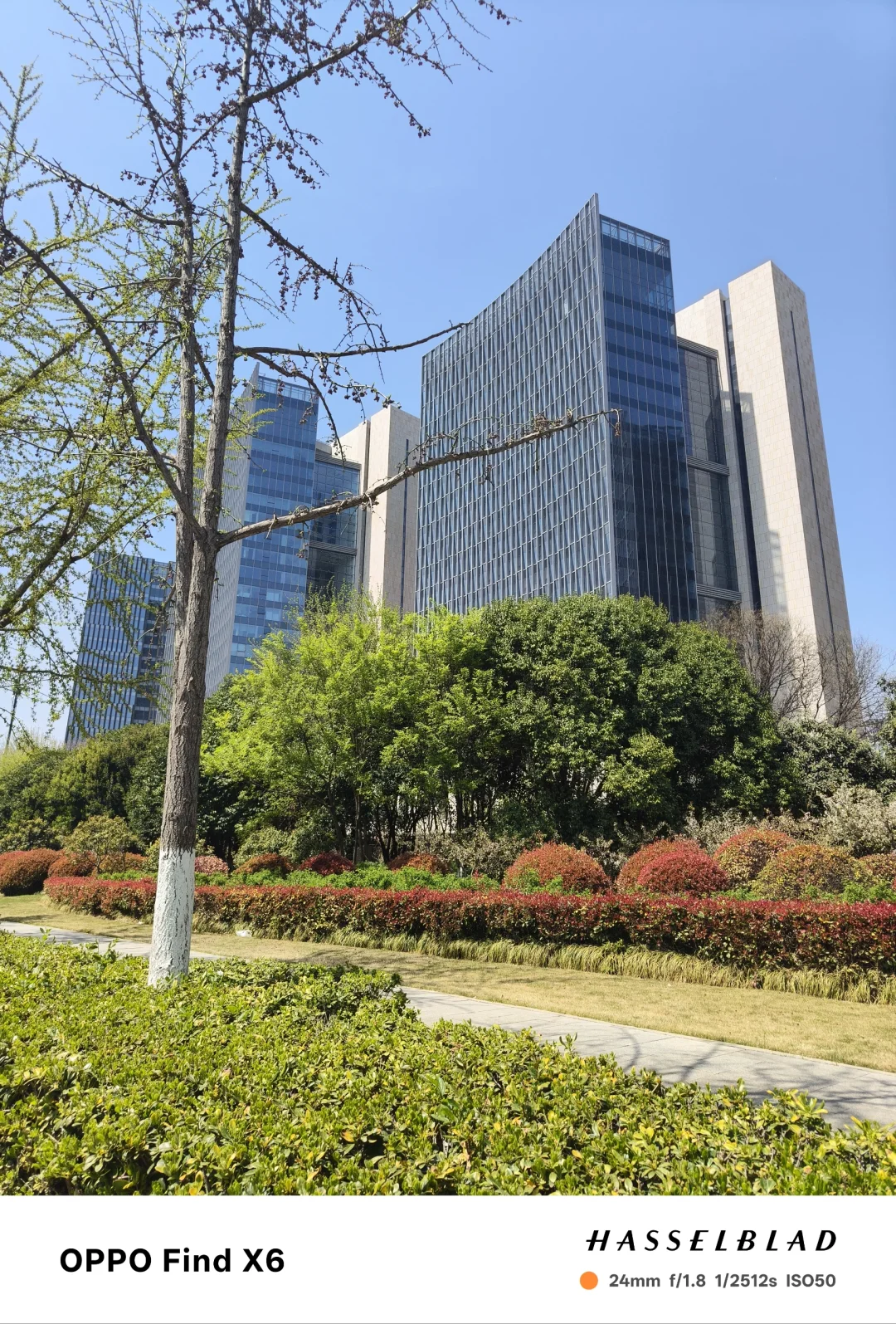 徐州新城区城建真美