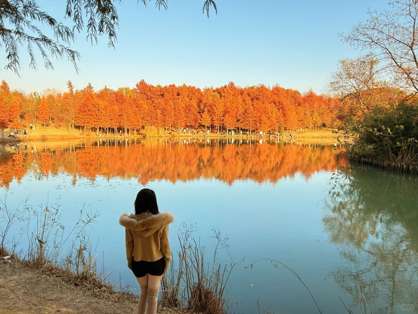 燕雀湖风景区