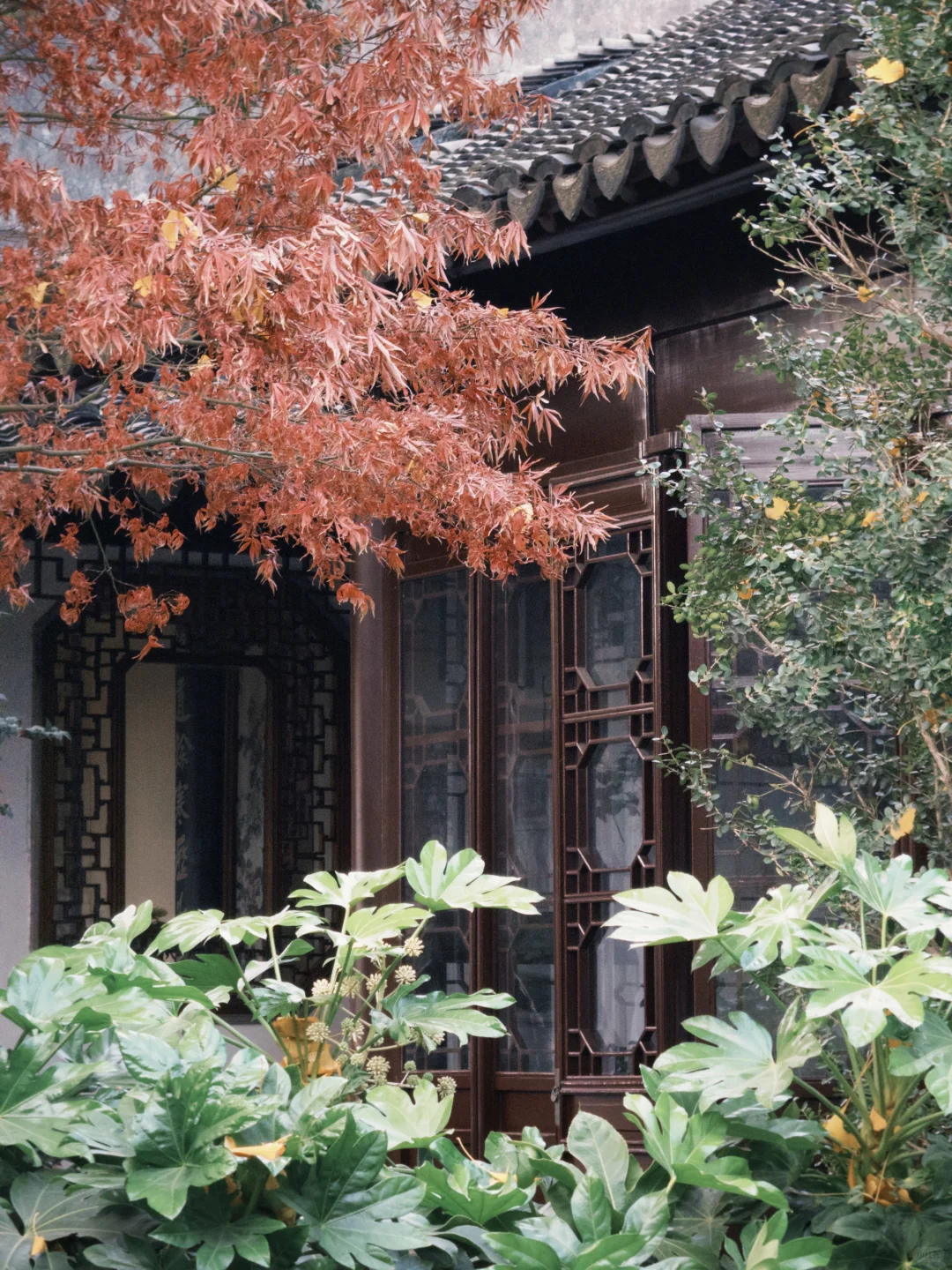 关于耦园：