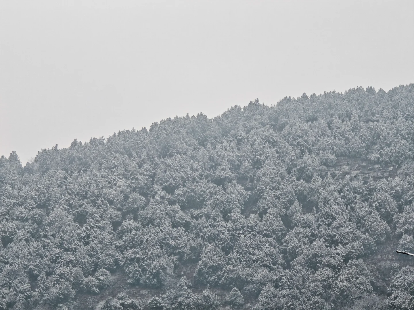 徐州下雪了！