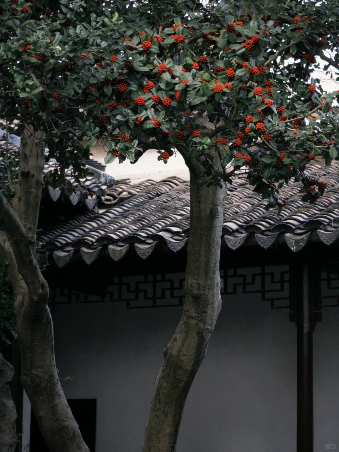 关于耦园：