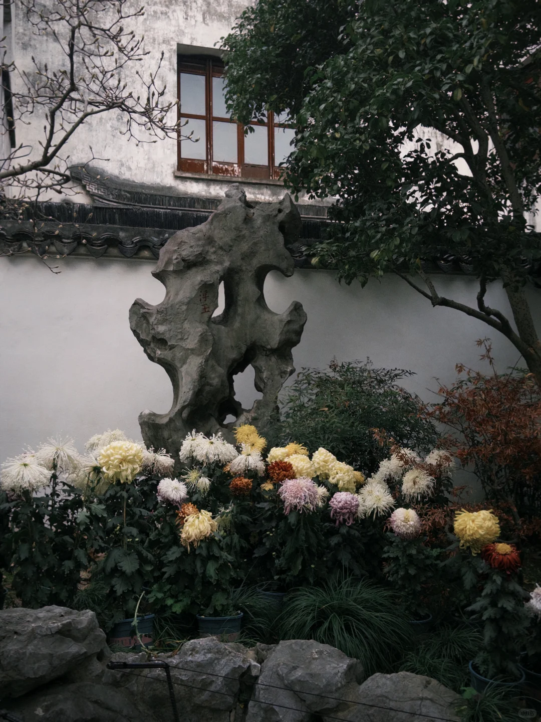 关于耦园：