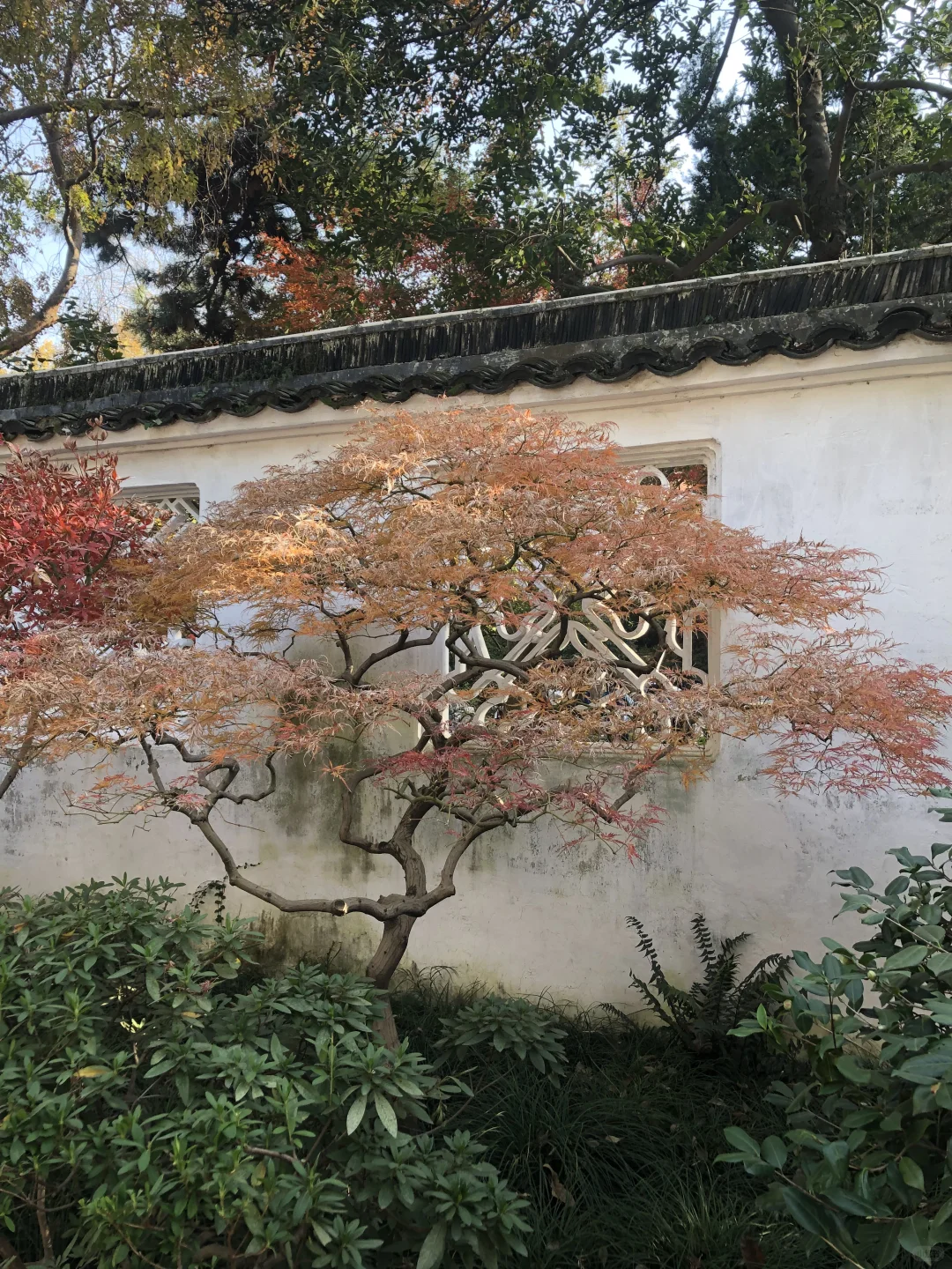 苏州拙政园