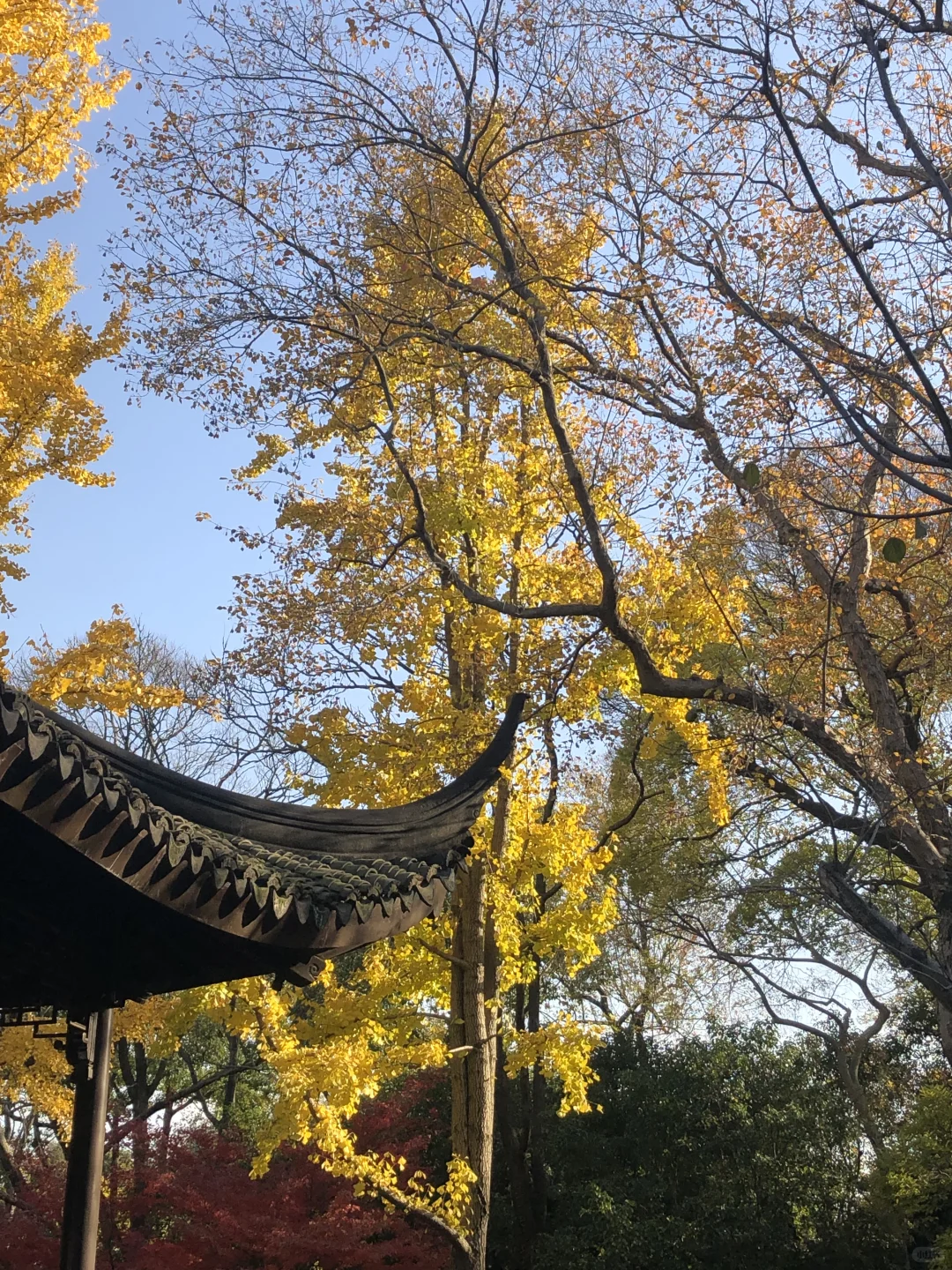 苏州拙政园