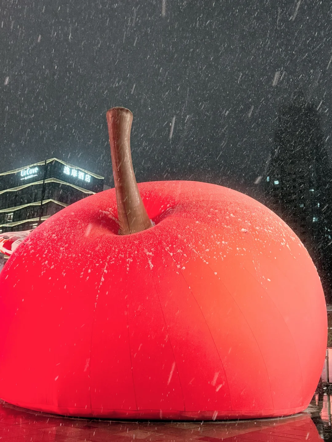 徐州人今天的朋友圈是不是都是下雪了❄️
