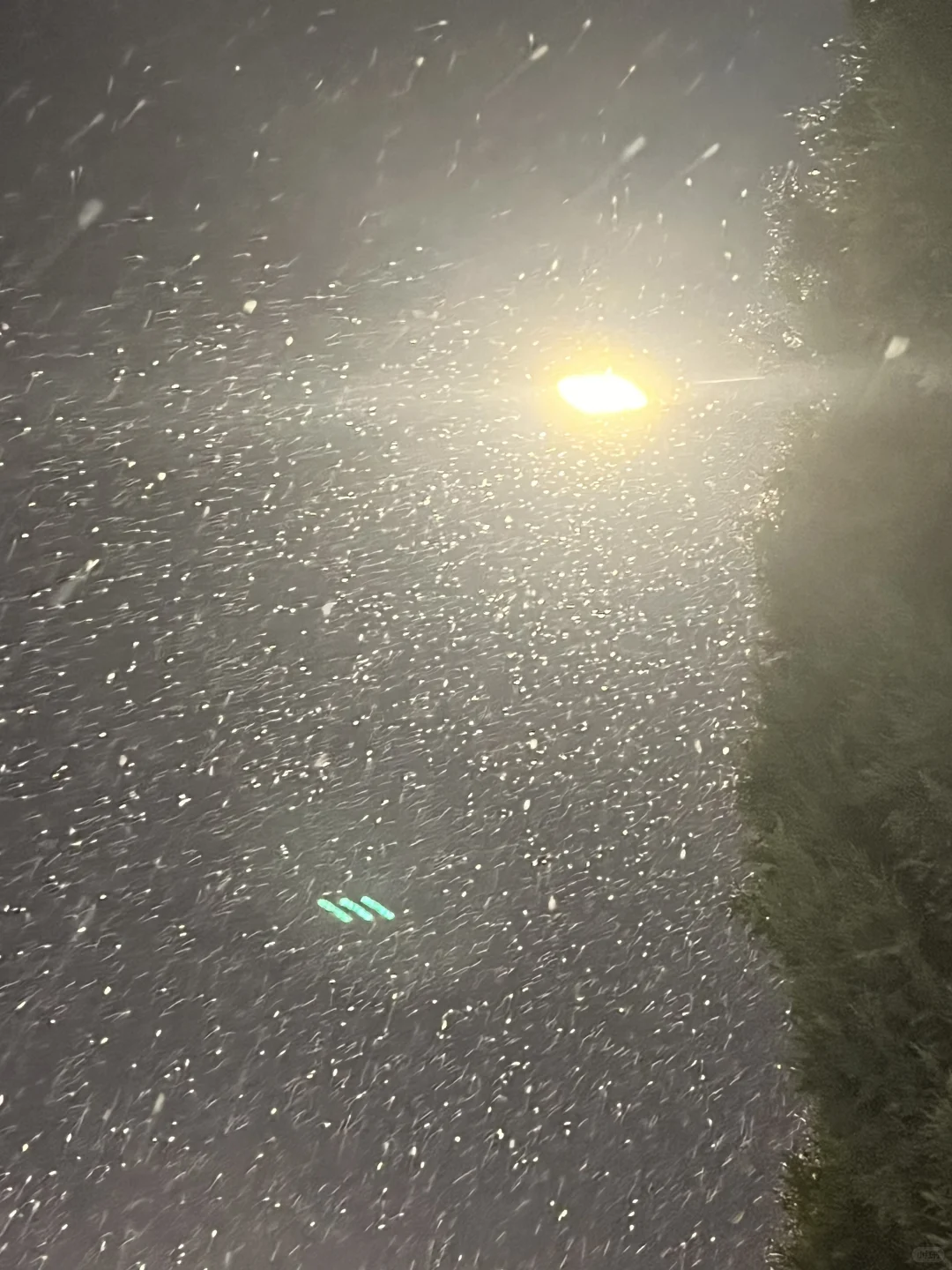 /下雪了❄️