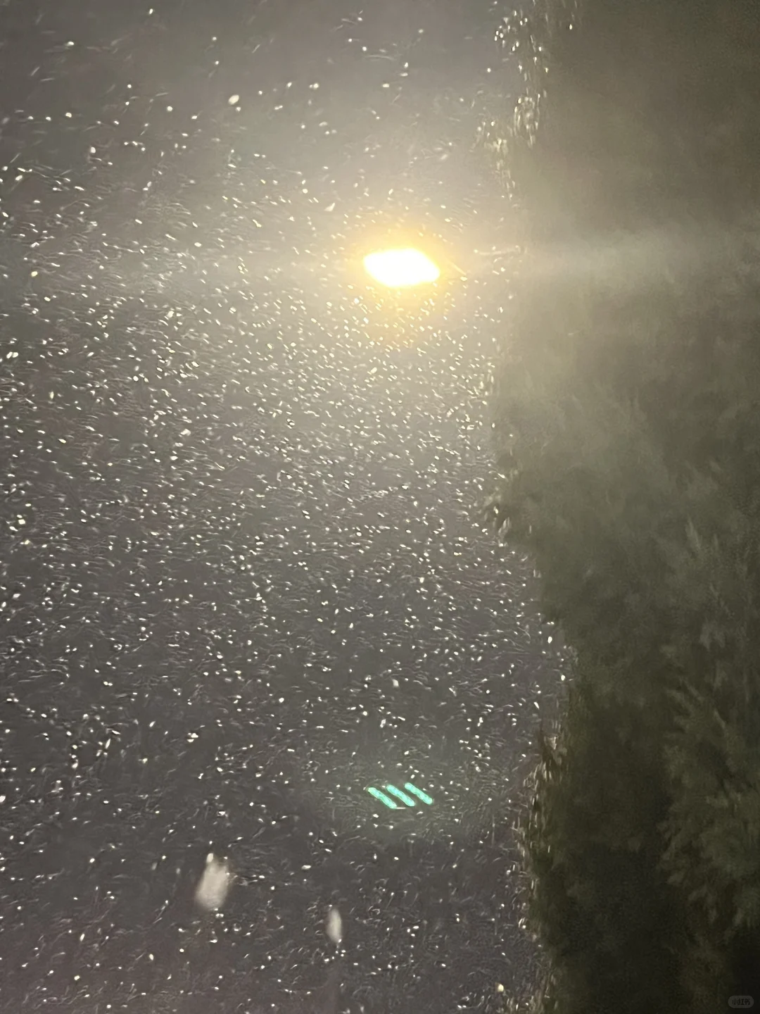 /下雪了❄️
