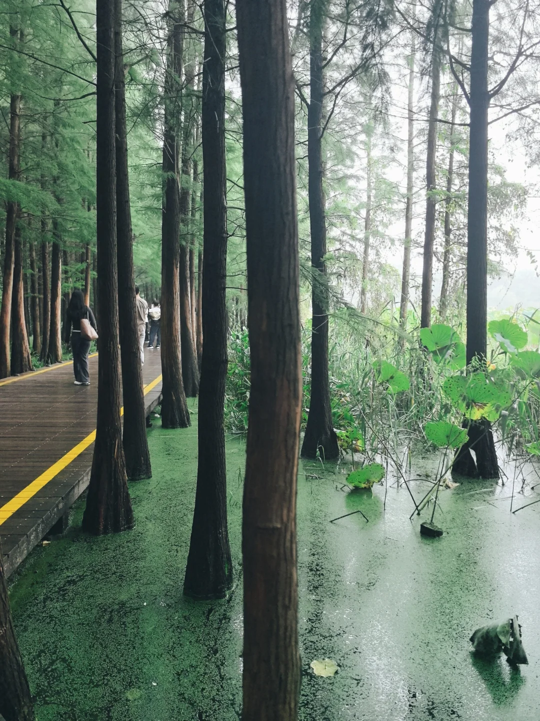 徐州旅行