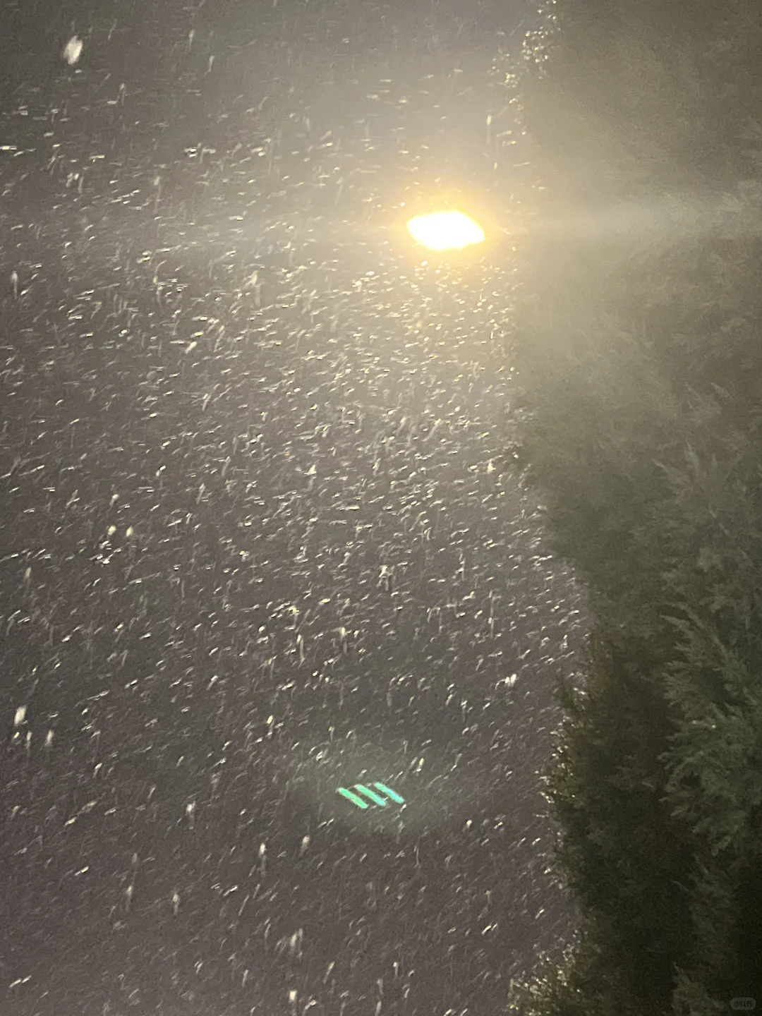 /下雪了❄️