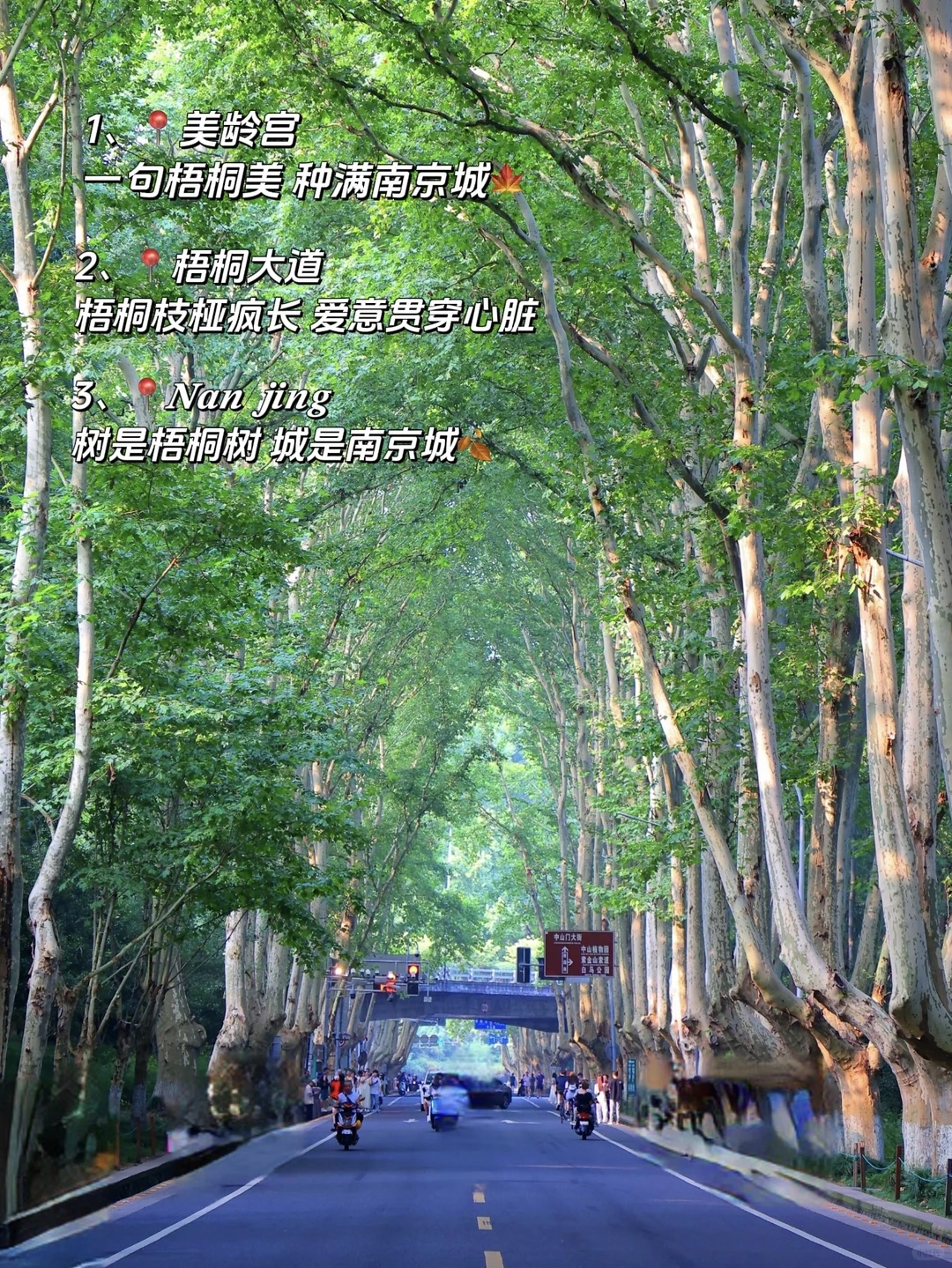 📍去南京朋友圈这样发被赞爆！！🔥🔥