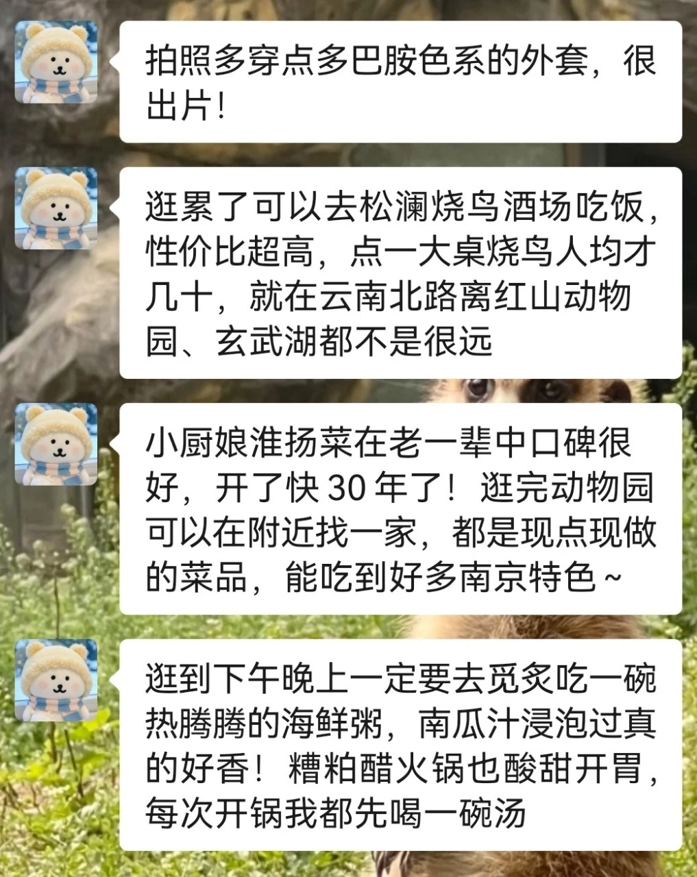 去南京红山动物园前！！听点不一样的大实话