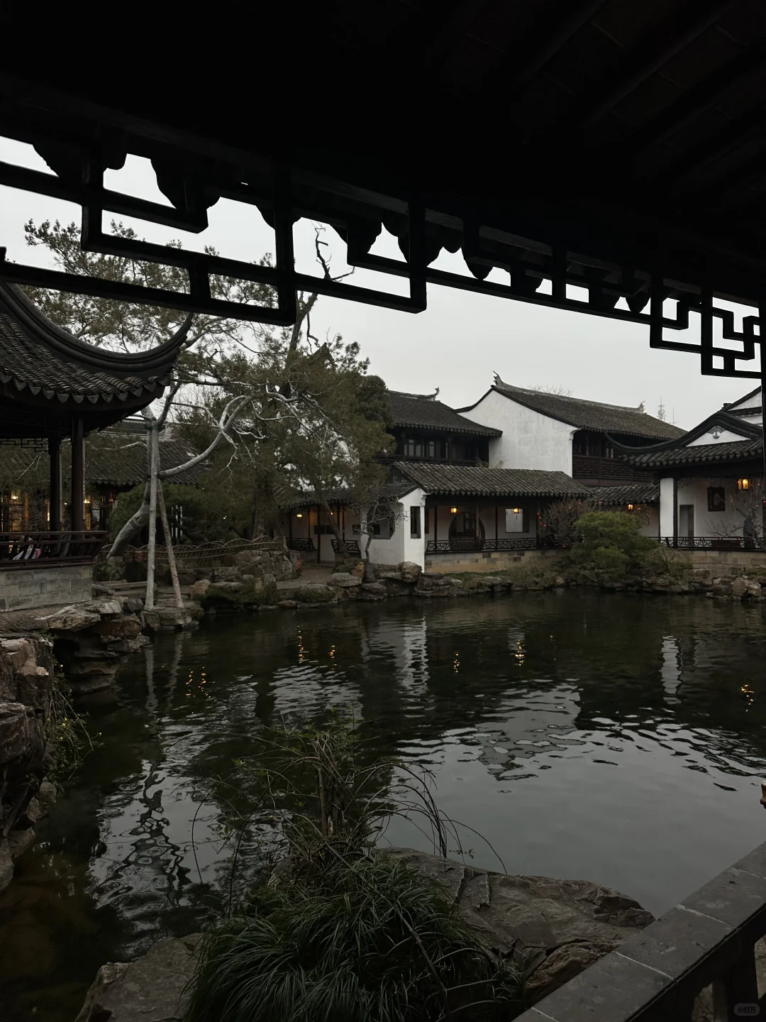 隐于市