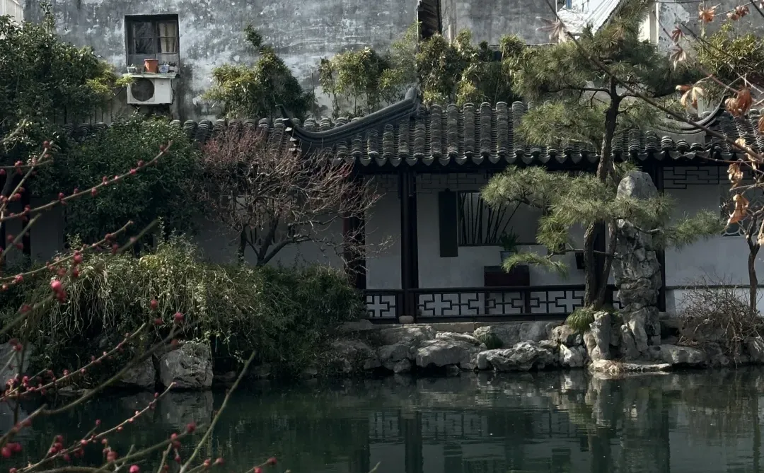 隐于市