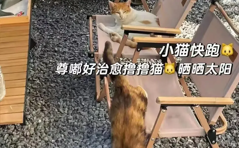 来南京住我家吧！128俩人😭（12.16后空）
