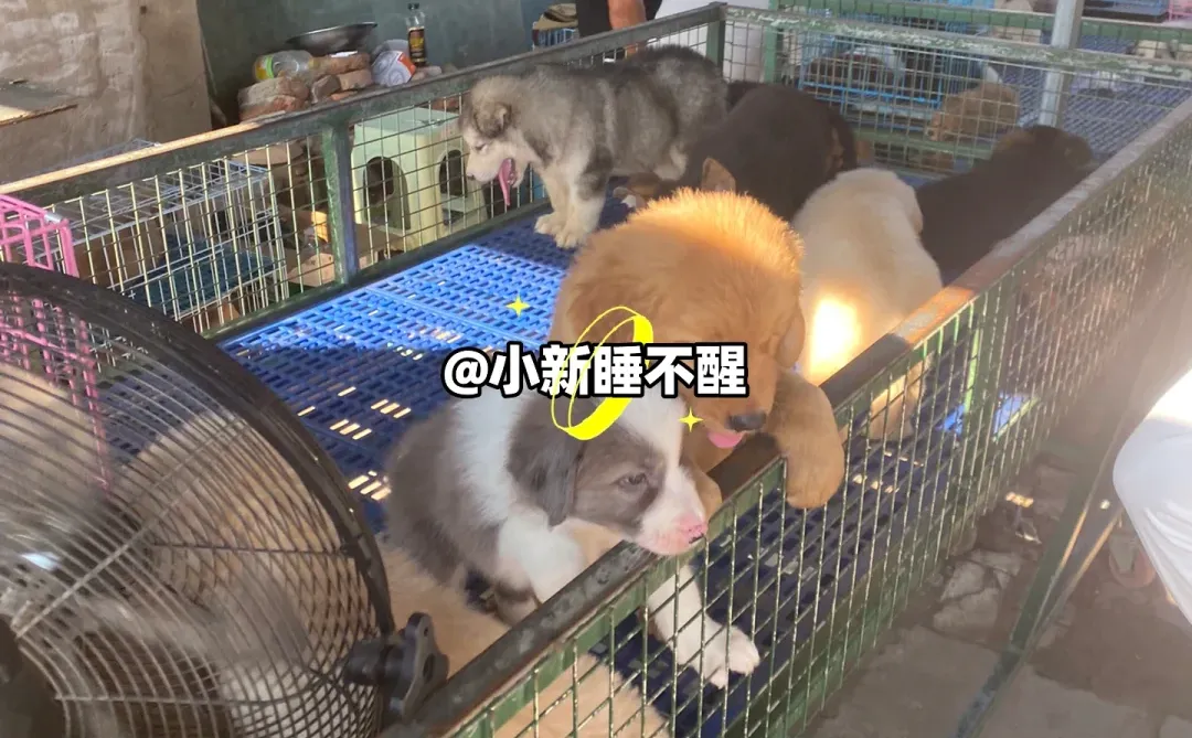 南京这个地方真的太好逛了！
