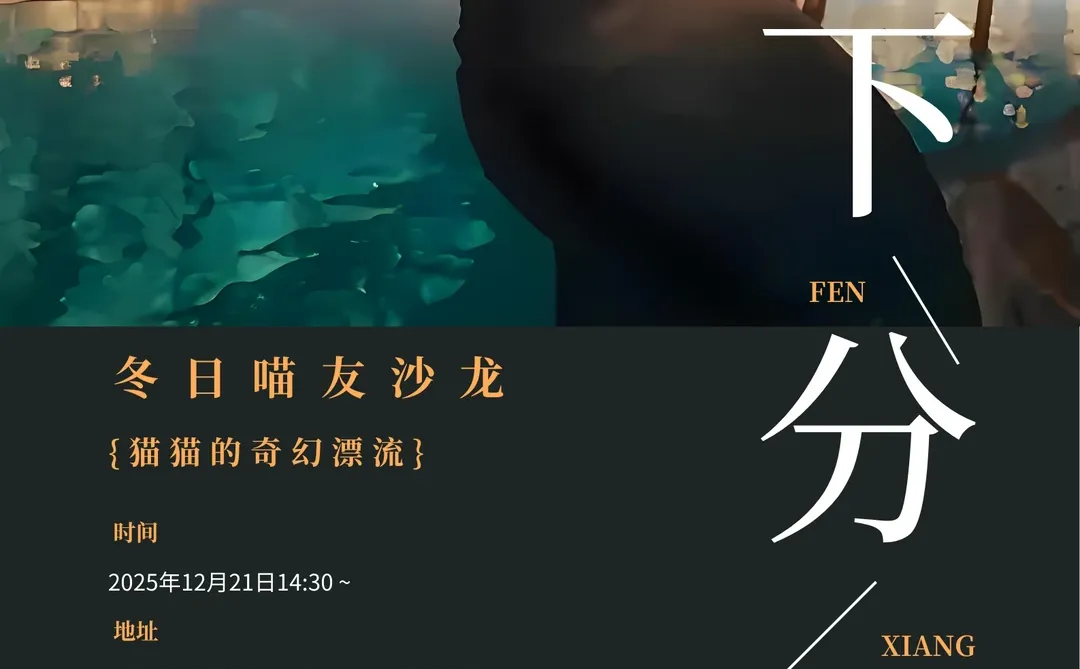 在南京大学的猫书展！书页藏猫·万象皆柔