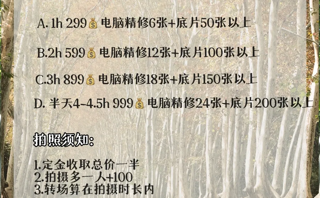12.14梧桐大道落叶进度40% 实时游客穿搭