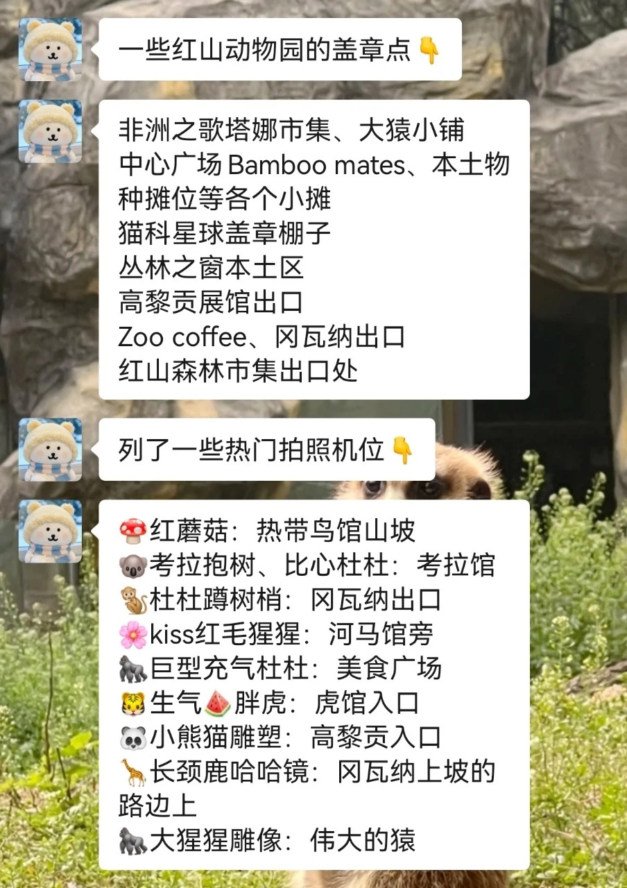 去南京红山动物园前！！听点不一样的大实话