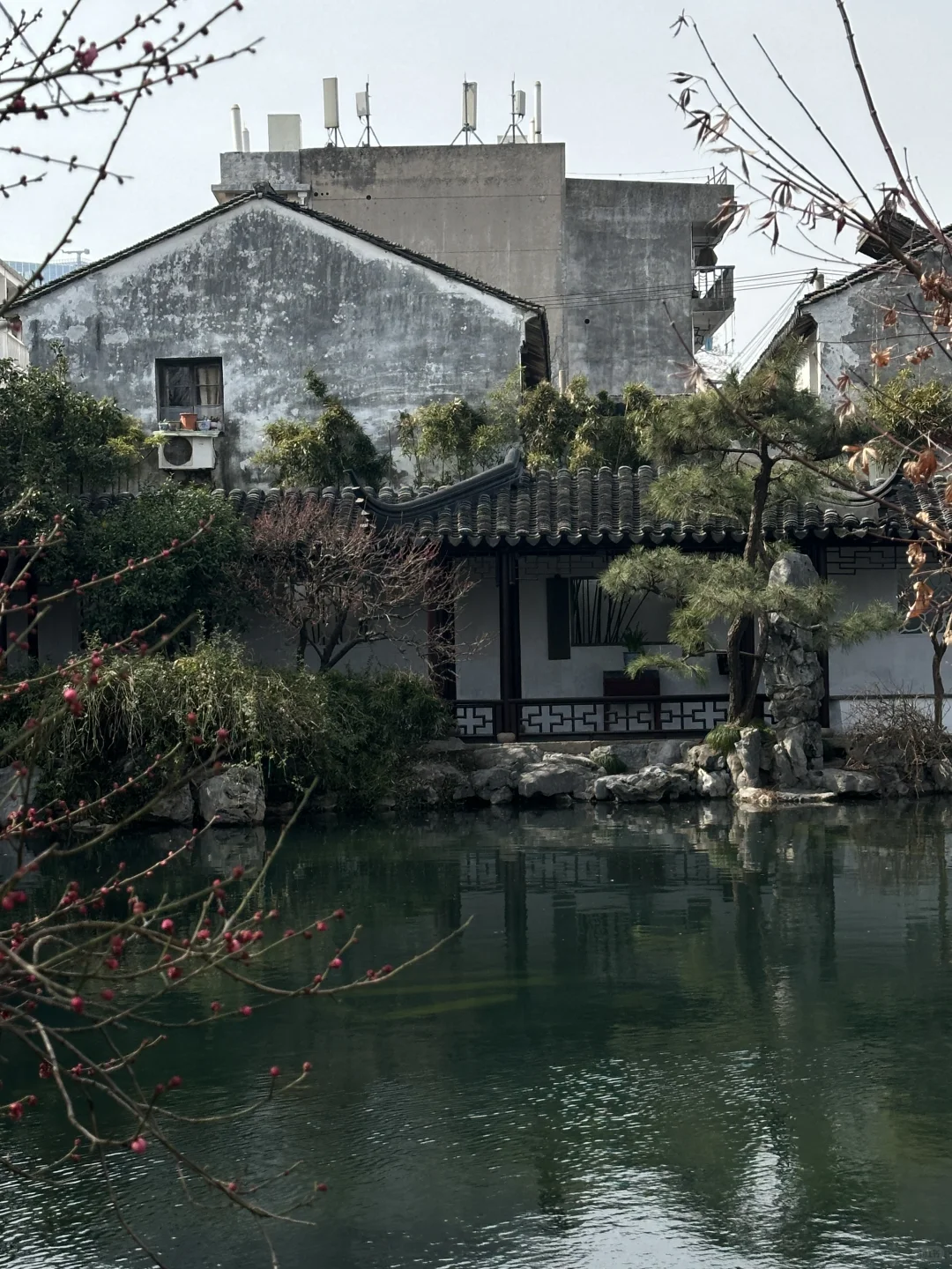 隐于市