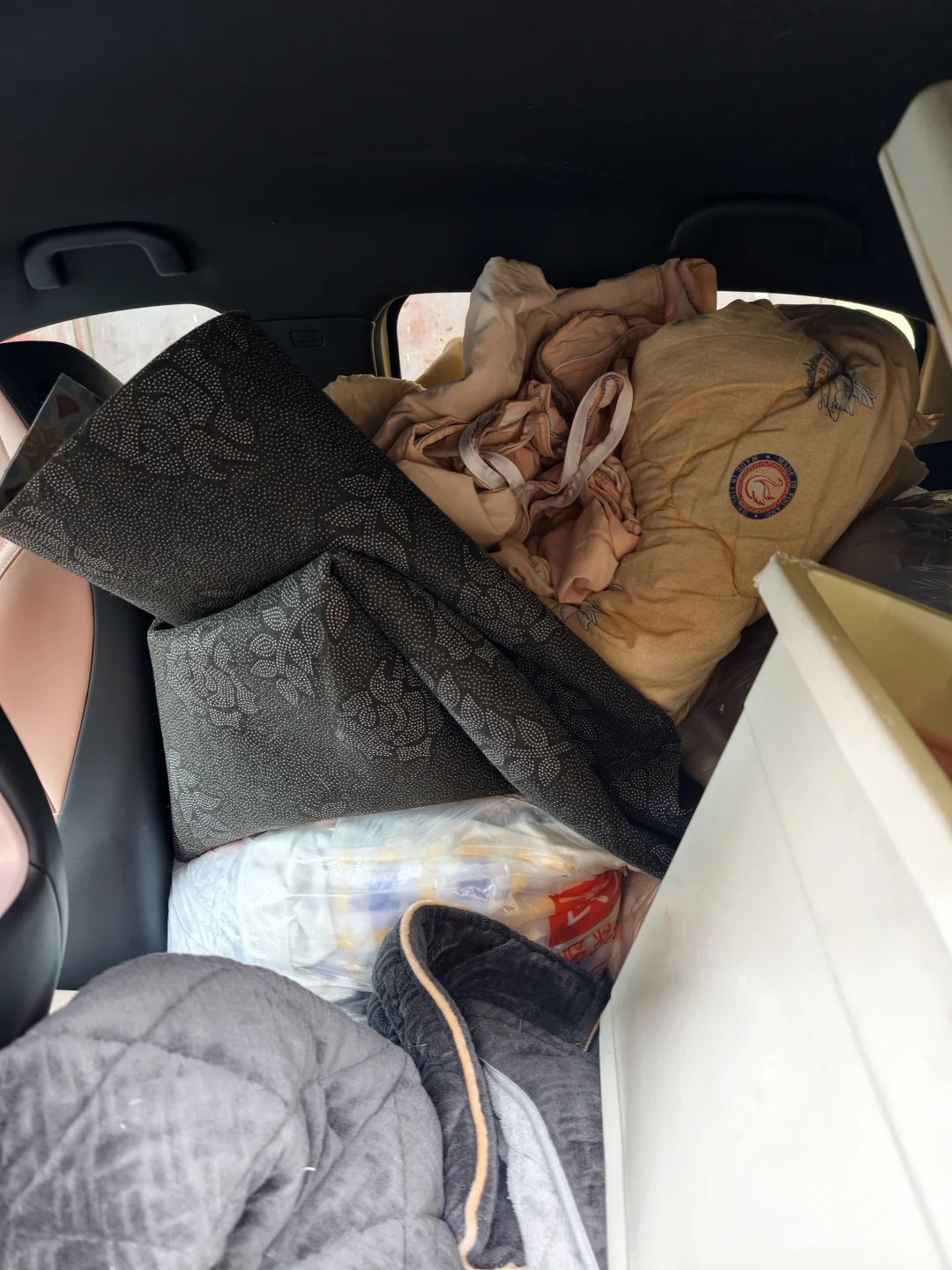 又攒够了一车，去徐州红叶小动物救助站了