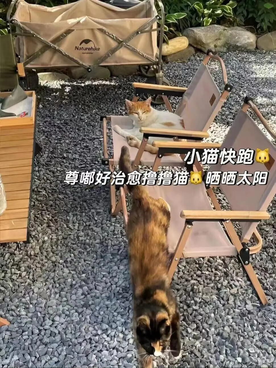 来南京住我家吧！128俩人😭（12.16后空）