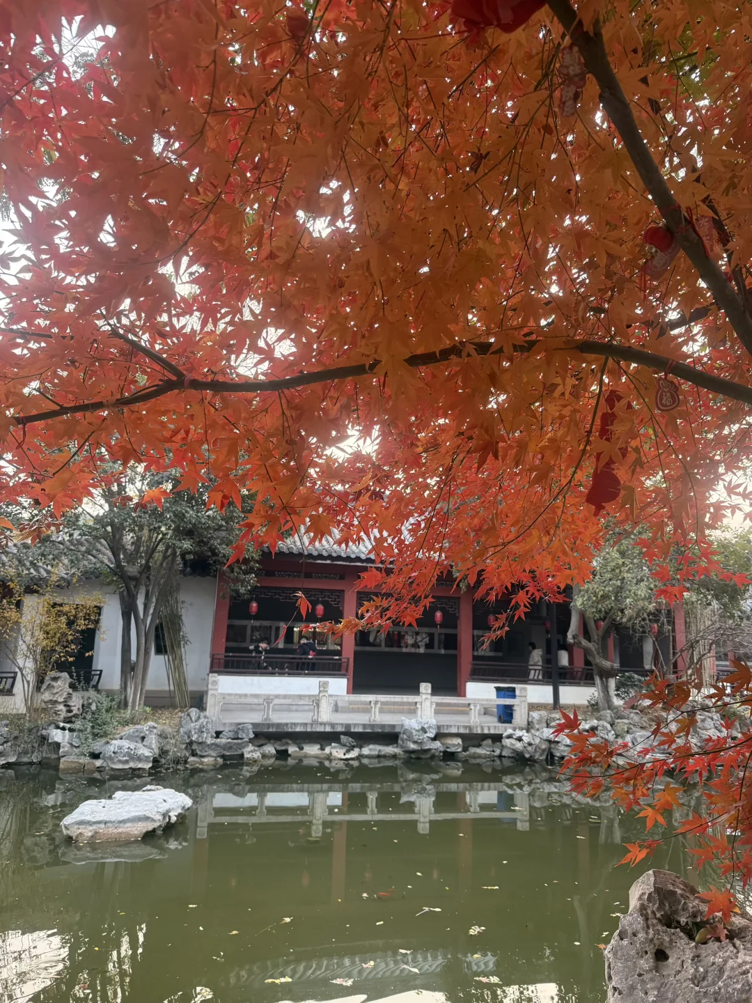 徐州地陪 阴天🌥️