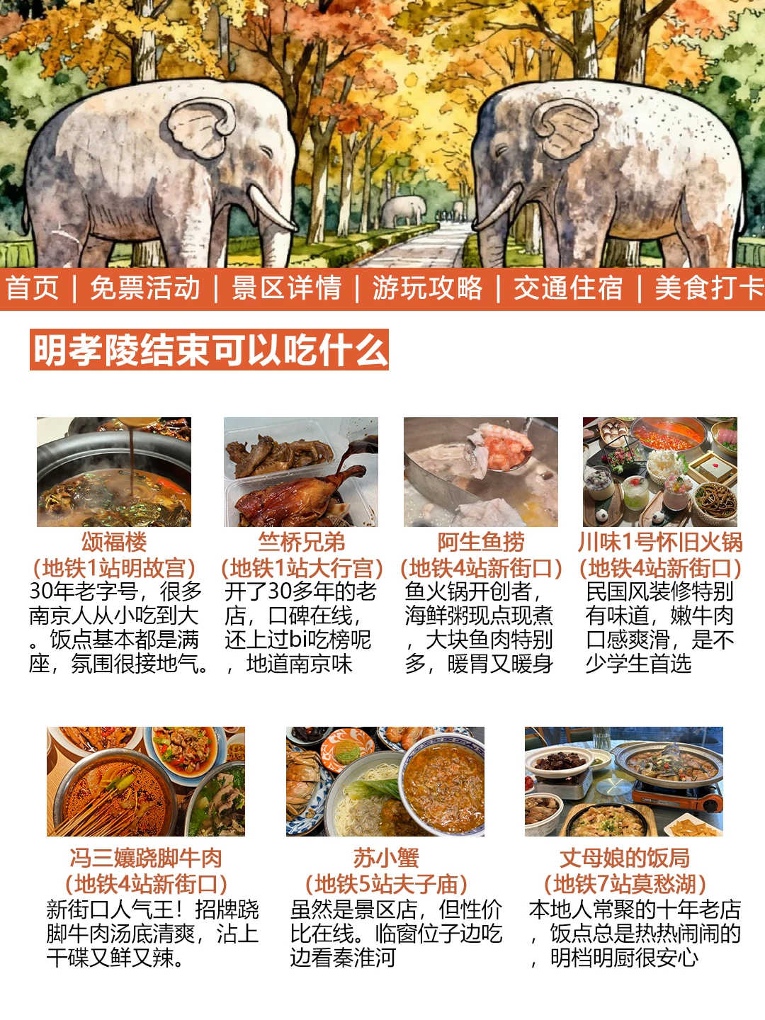 南京明孝陵元旦免票通知来啦！幸好看到了