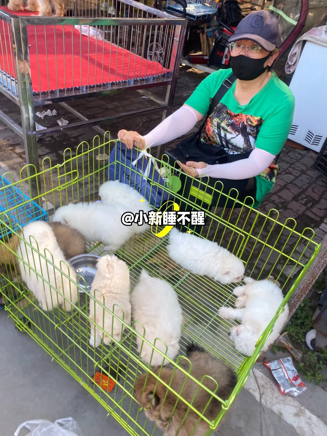 南京这个地方真的太好逛了！
