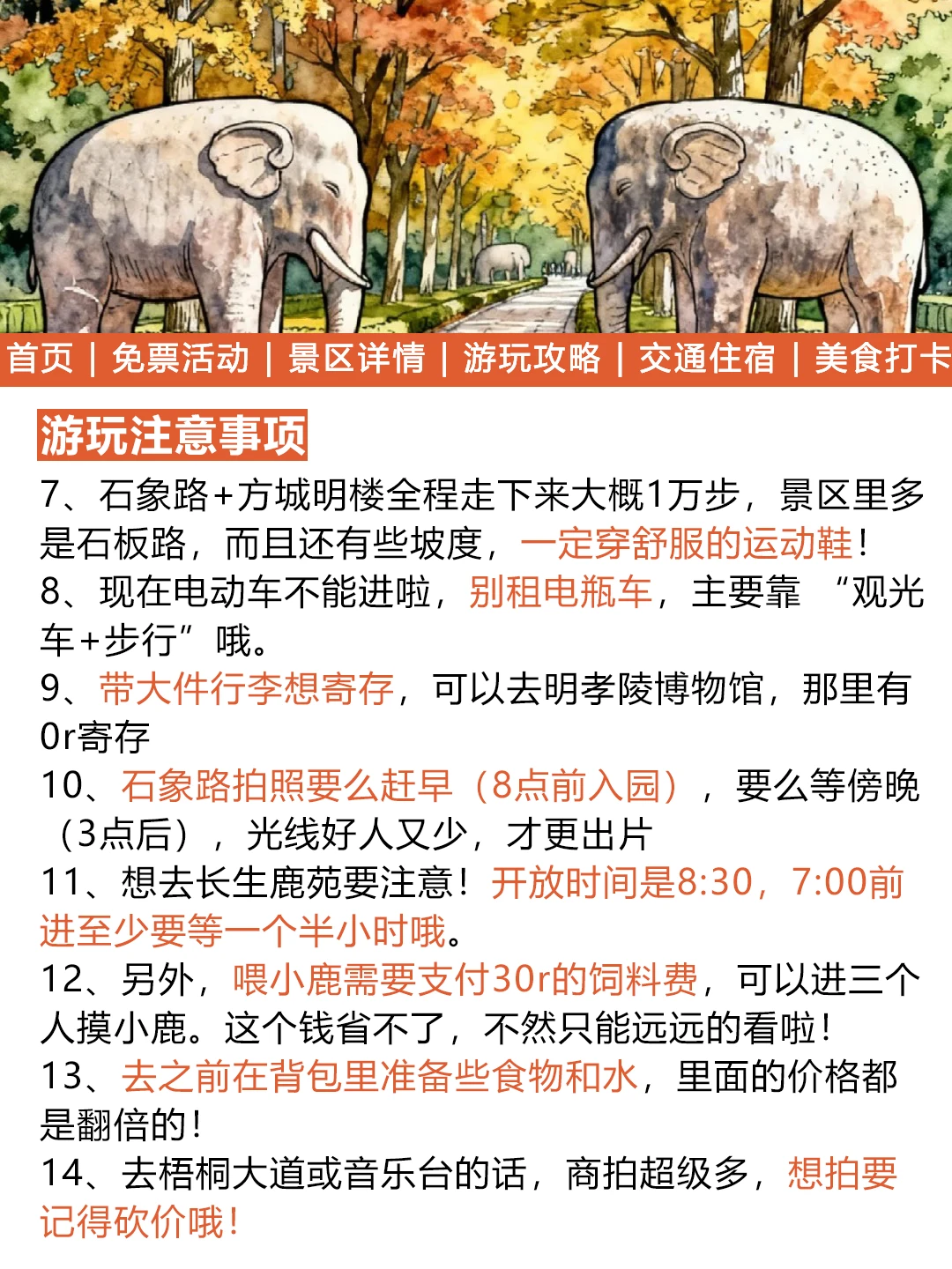 南京明孝陵元旦免票通知来啦！幸好看到了