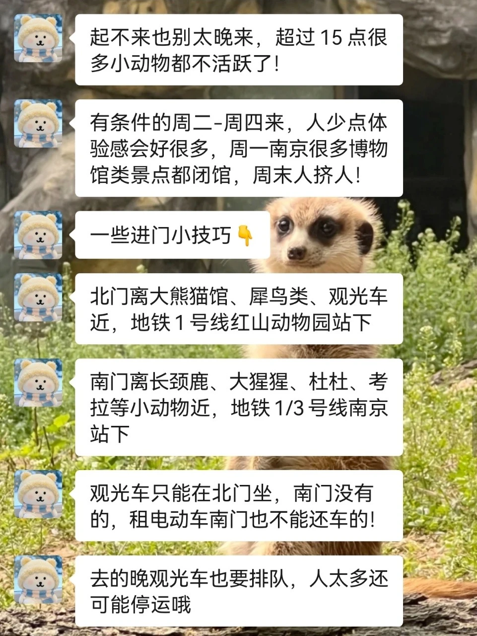 去南京红山动物园前！！听点不一样的大实话
