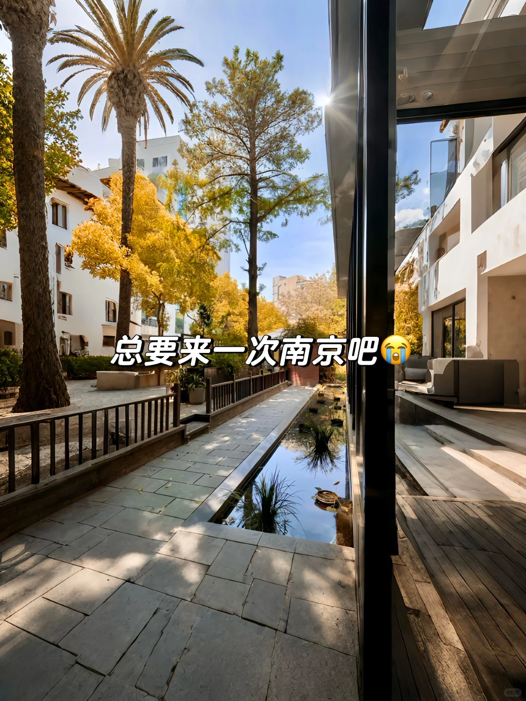 来南京住我家吧！98俩人😭就在夫子庙