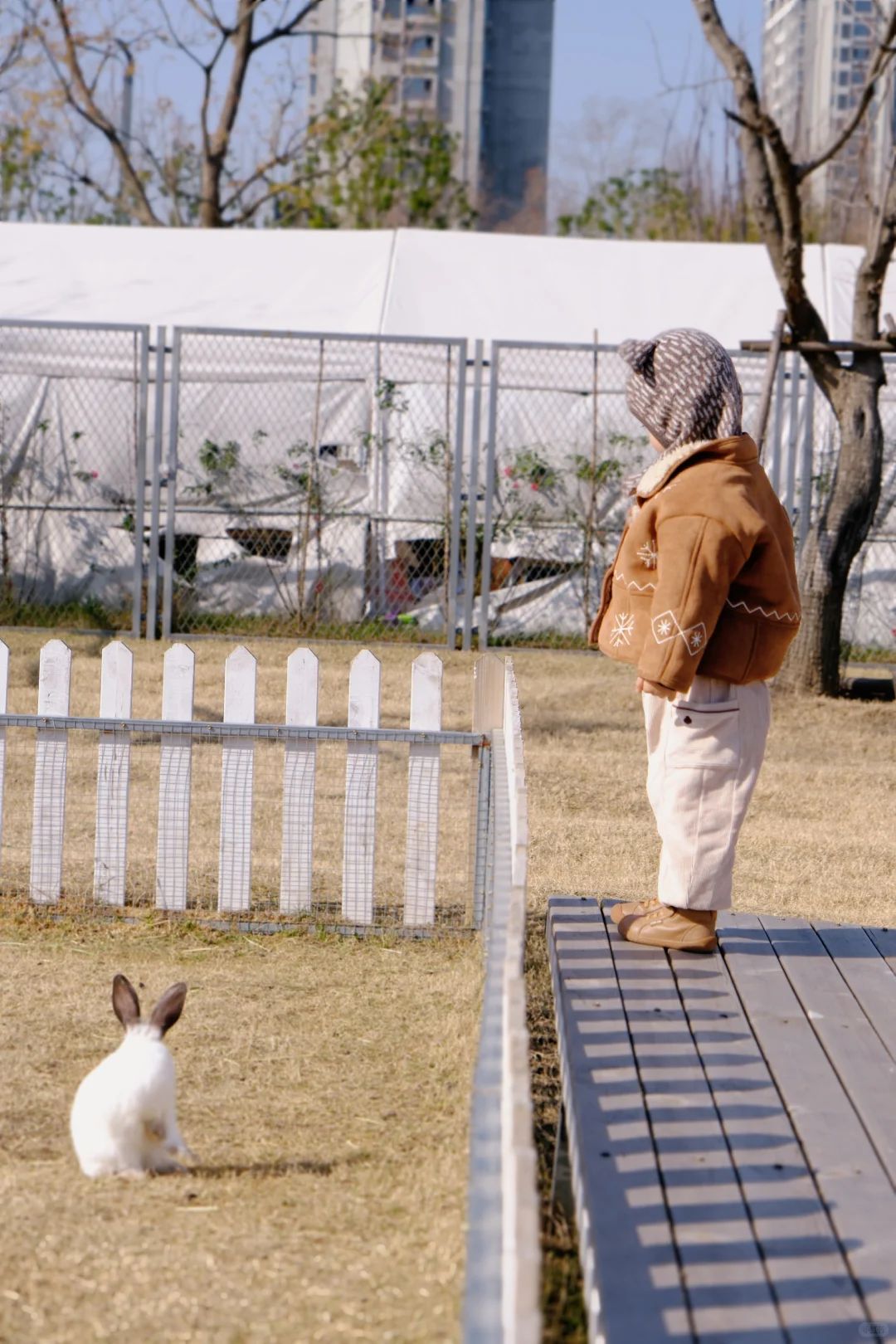 遛娃日常｜南京市区的宝藏农场🦌🐑🐰