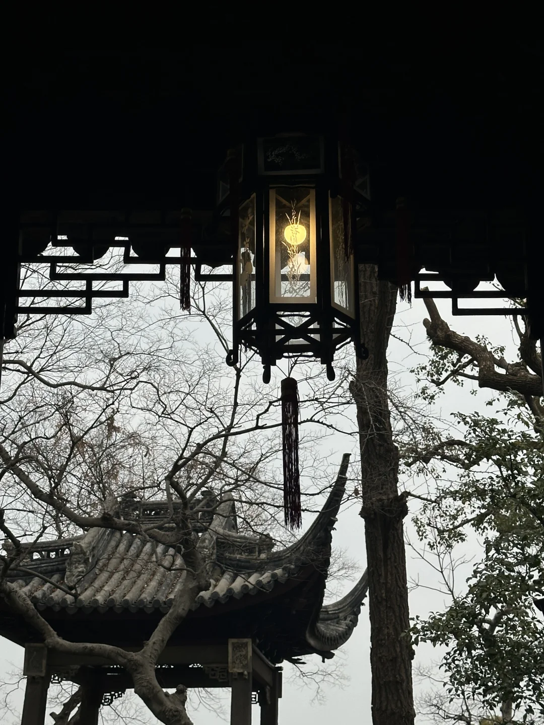 隐于市