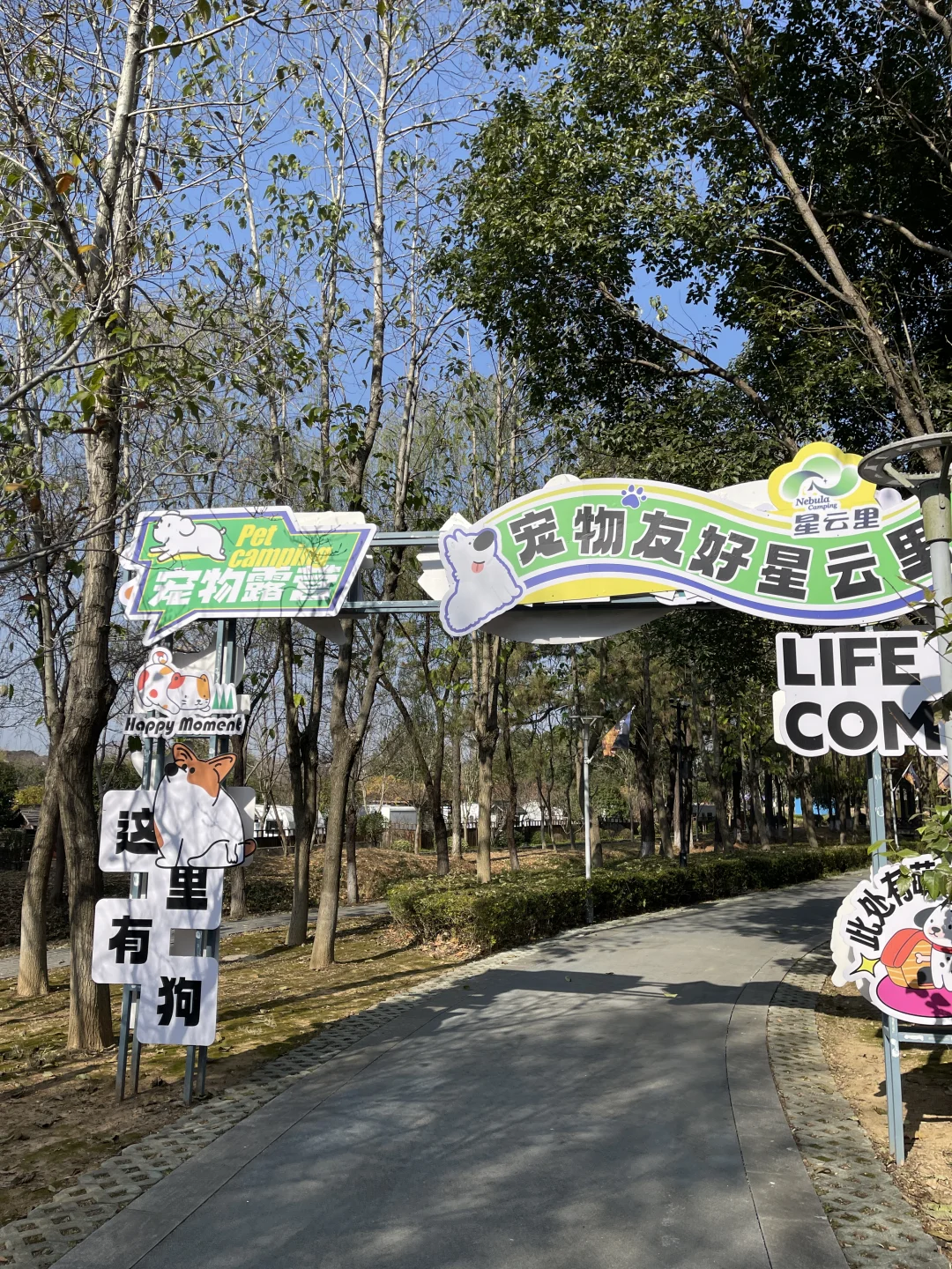 元旦有房不加价！避开人挤人的南京露营地