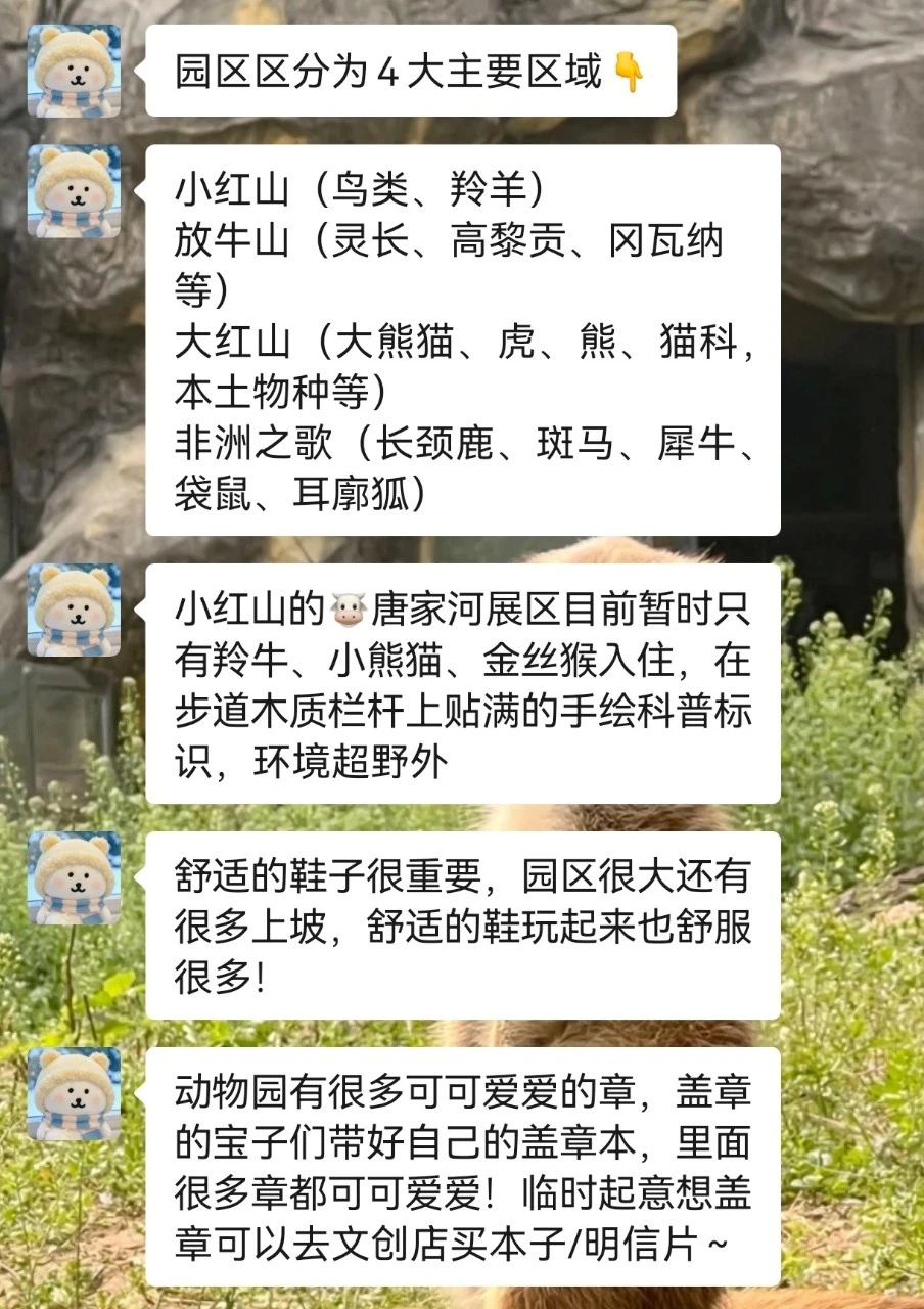 去南京红山动物园前！！听点不一样的大实话